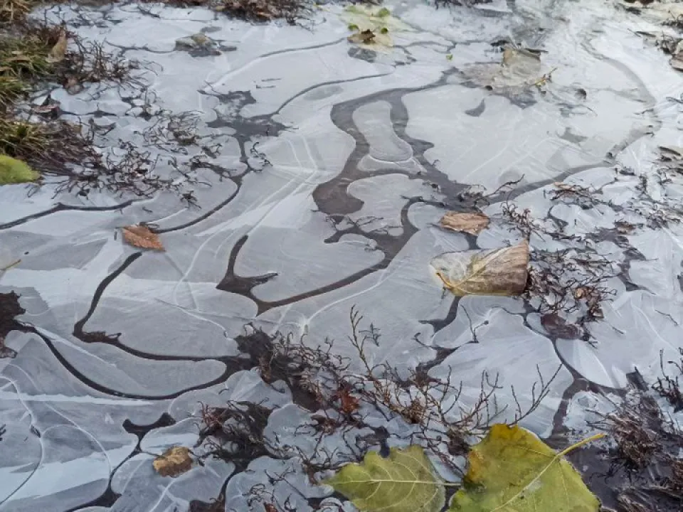 &nbsp;Фото: REGIONS/Эльвира Сафина