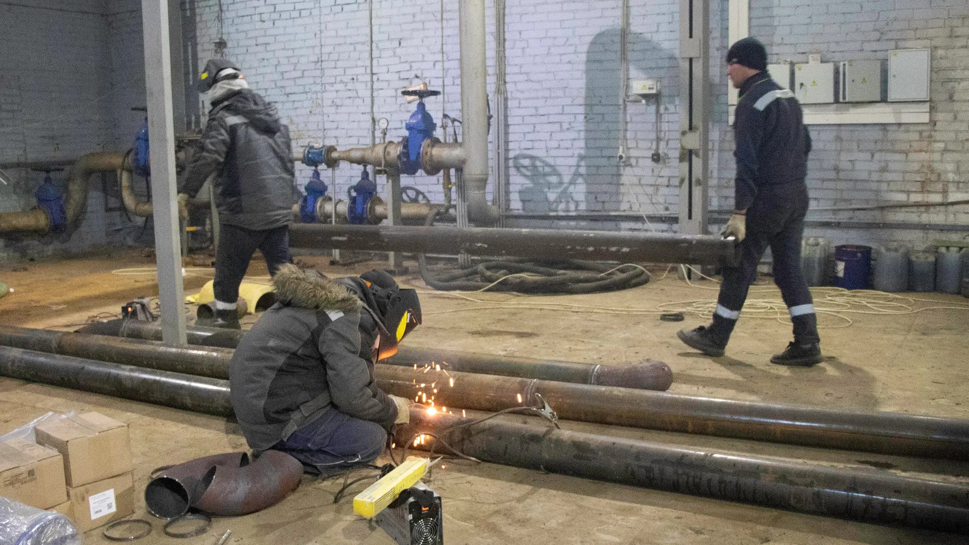 Фото: Александр Морозов