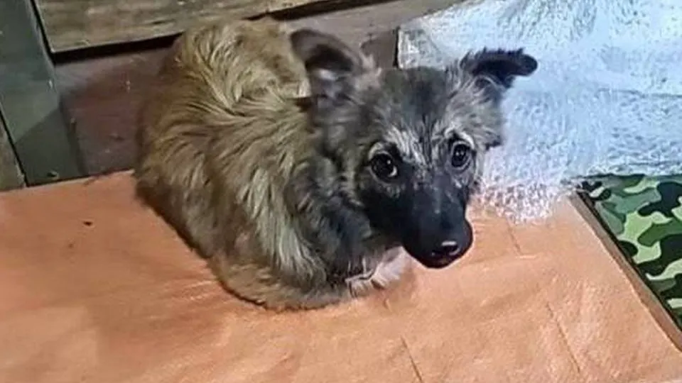 Фото: МБОУ СОШ № 12