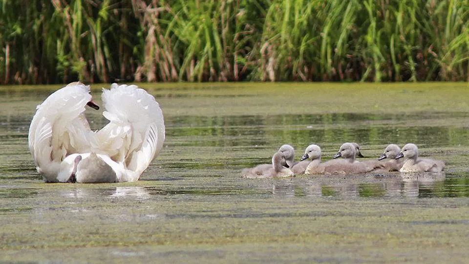 Фото: из личного архива Михаила Крюкова
