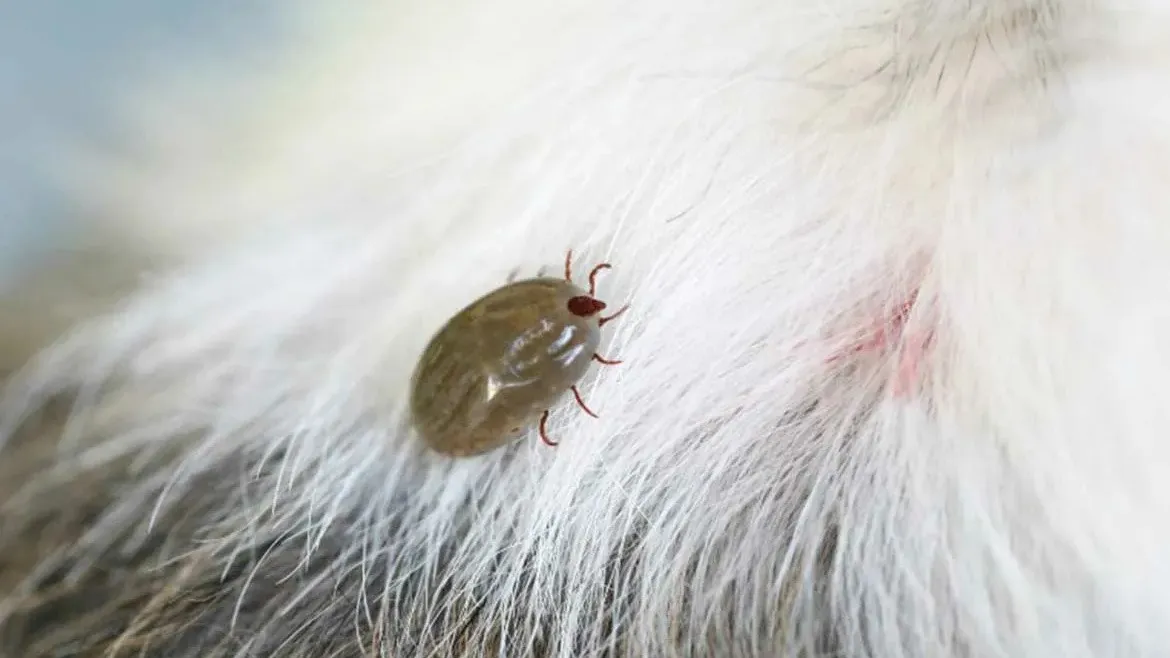 Фото: Министерство экологии и природопользования Московской области