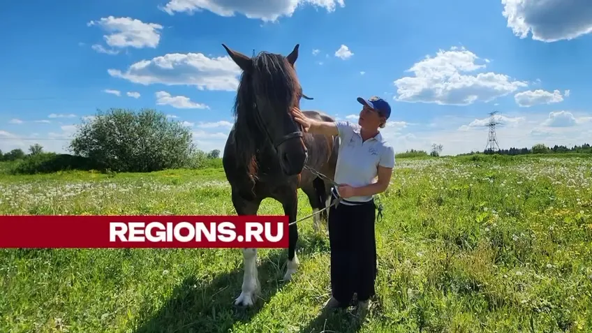 Фото: Наталья Акуленок
