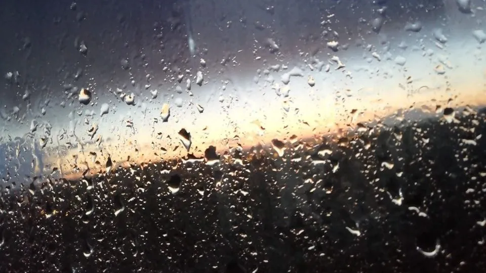 Фото: REGIONS/Наталья Дорофеева