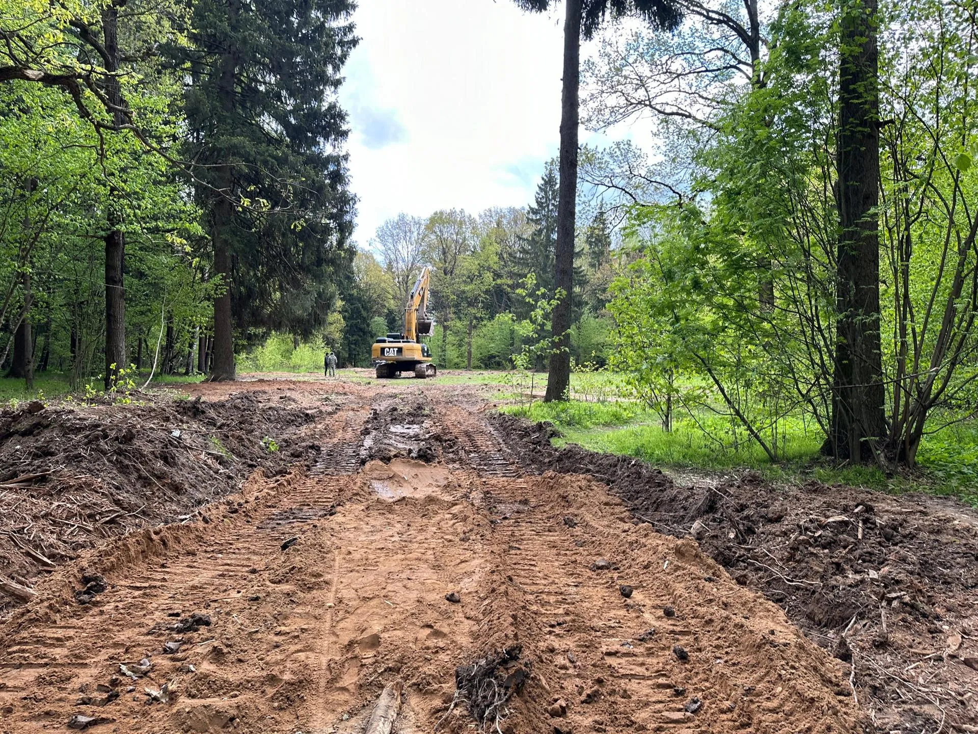 Фото: Министерство благоустройства Московской области