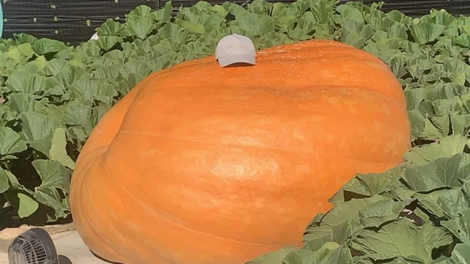 Фото: личный архив Александра Чусова