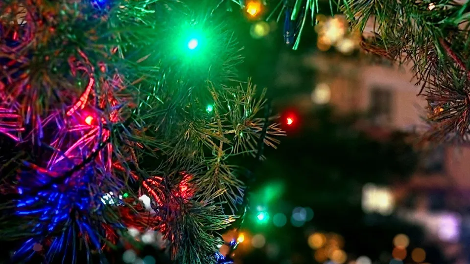 Фото: REGIONS/Мария Овчинникова