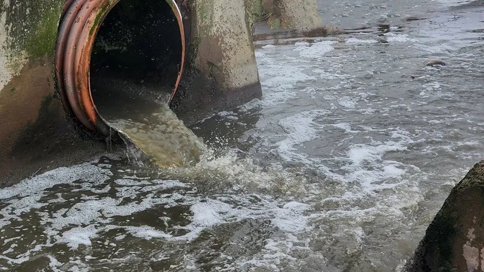 Фото: медиабанк Подмосковья/Никита Сморкалов