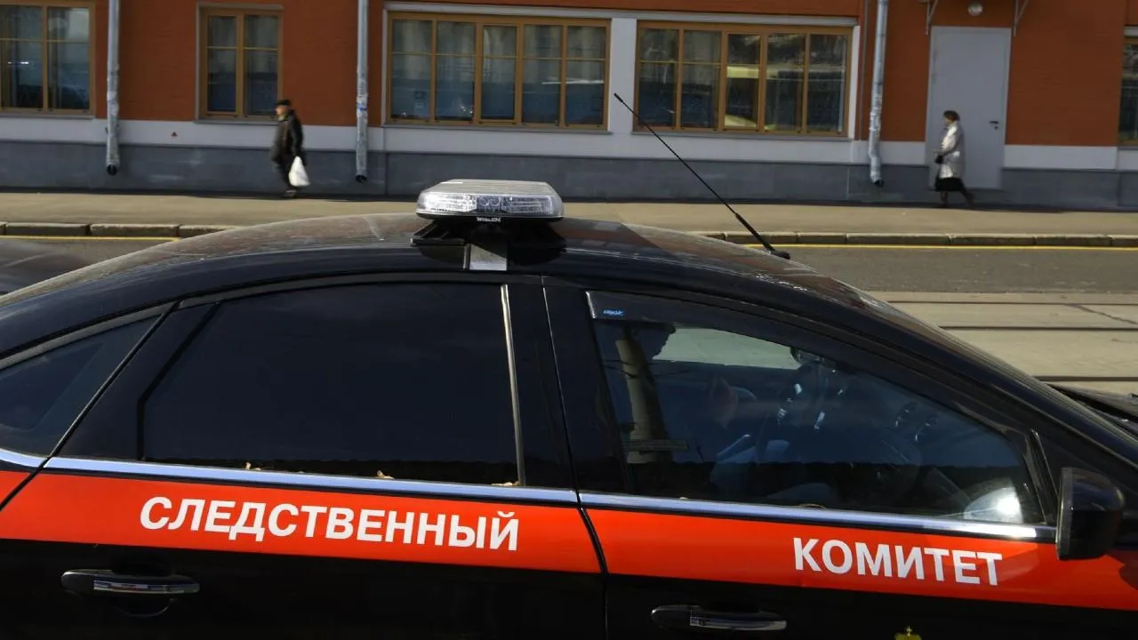 Бастрыкин затребовал доклад по делу о нападении жителя Балашихи на участника СВО