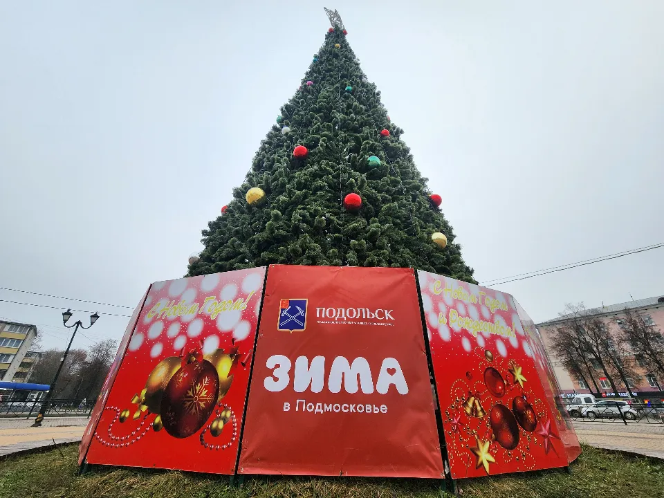 Фото: МедиаБанк Подмосковья/Мария Шигорева