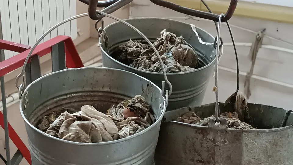 Фото: МедиаБанк Подмосковья/Роман Кутузов