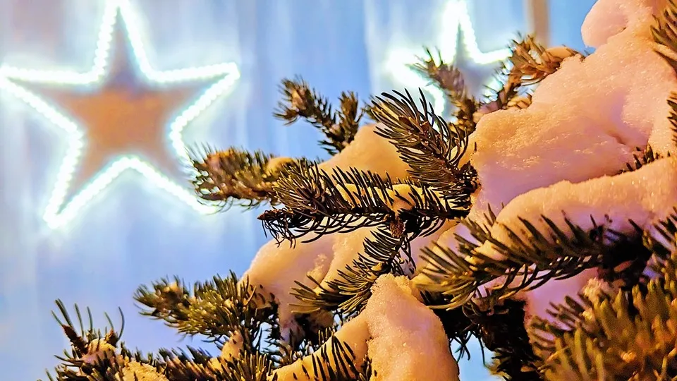 Фото: REGIONS/Алексей Селиверстов