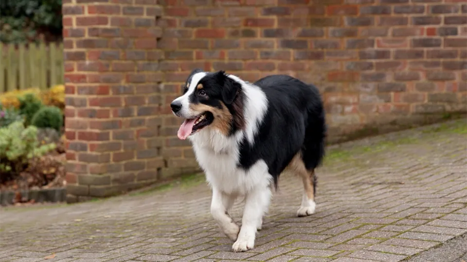 Фото: freepik.com