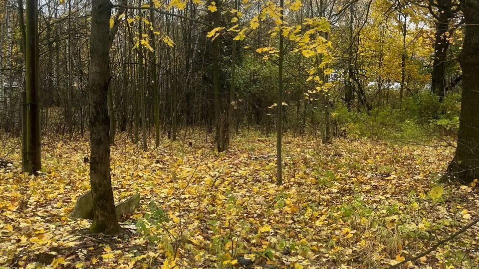 Комитет по конкурентной политике Московской области