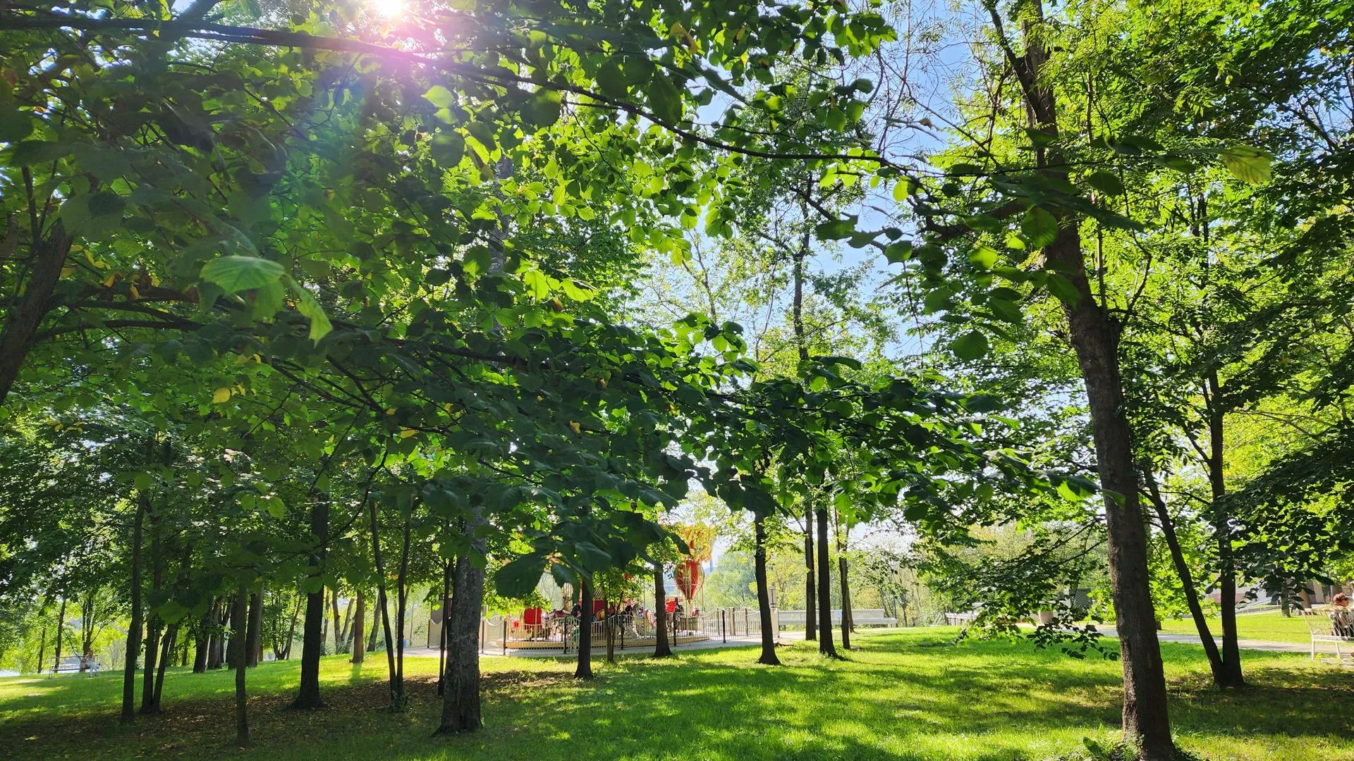 фото: Светлана Плотникова