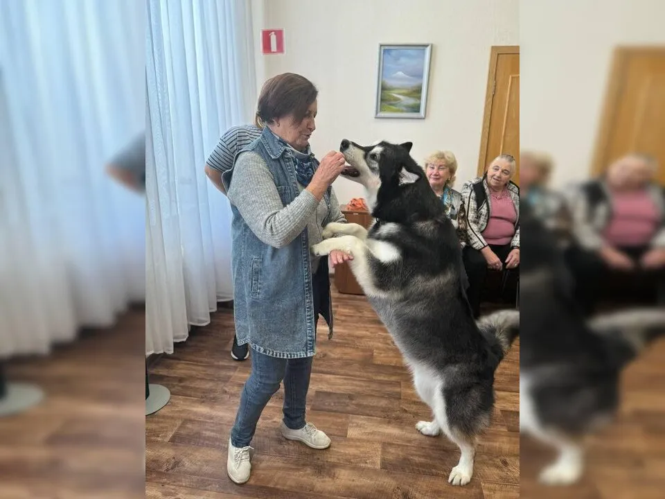 Картинка