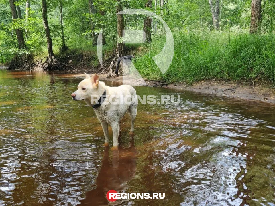 Фото: из архива Анны Меденцевой