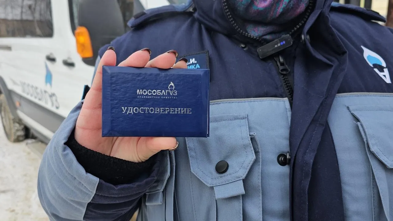 МедиаБанк Подмосковья/Анна Шолохова