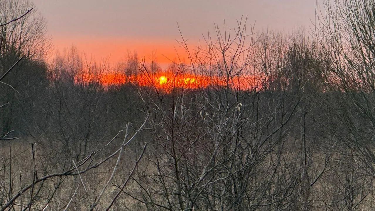 REGIONS/Анастасия Широкая