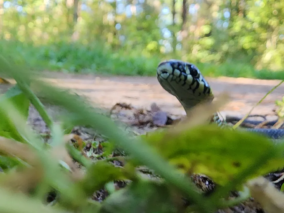 Фото: МедиаБанк Подмосковья/Виталий Сид
