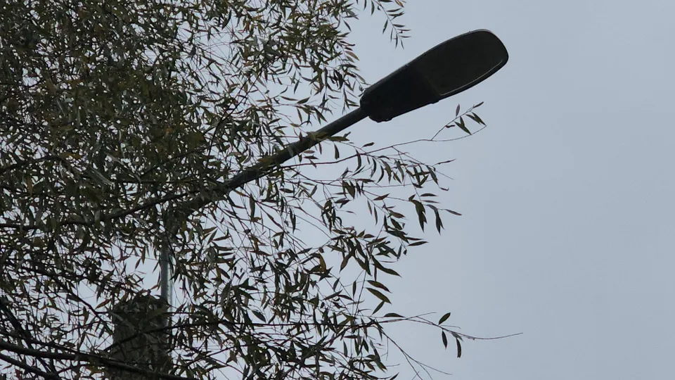 Фото: МедиаБанк Подмосковья/Алена Притула