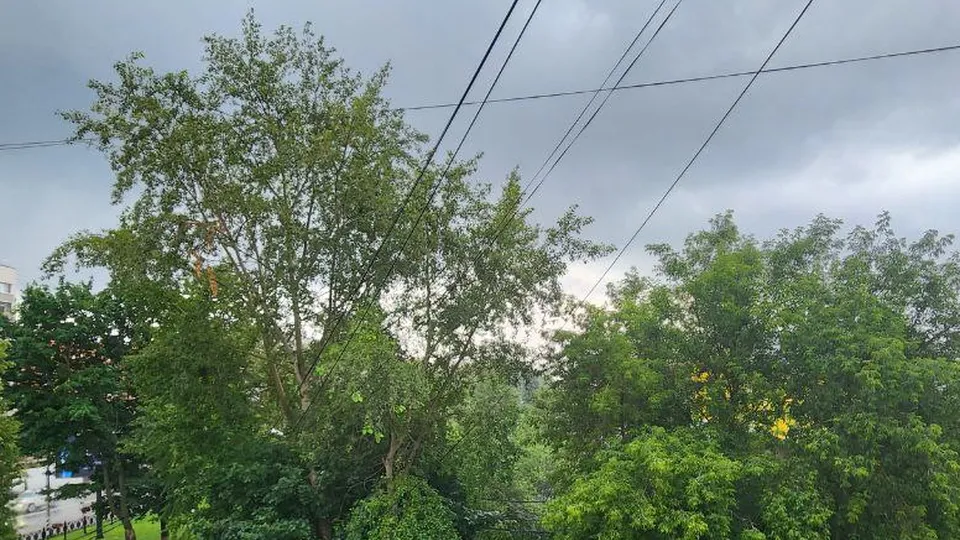 Фото: Наталия Надточая