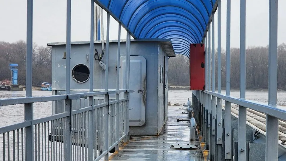 Фото: МедиаБанк Подмосковья/Анна Шолохова