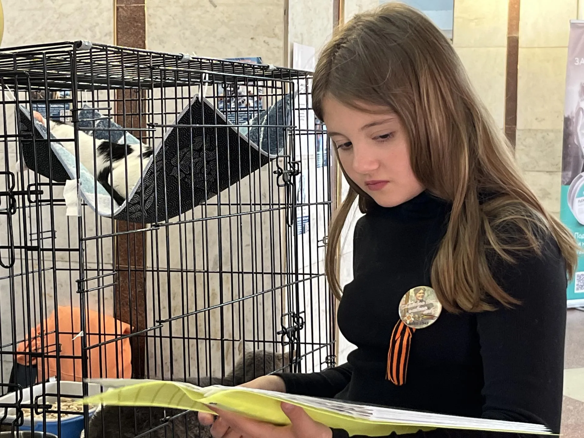 Фото: Анна Тюрюмина&nbsp; &nbsp;