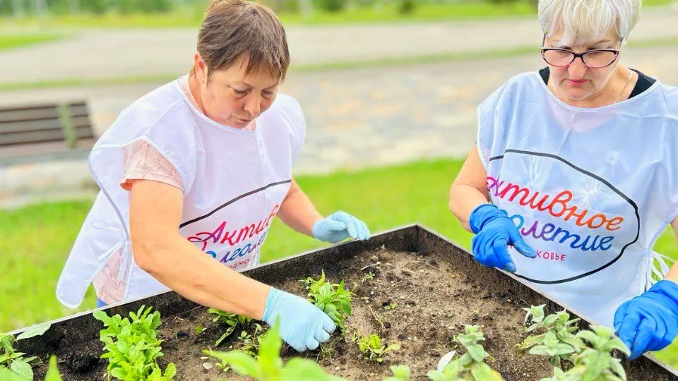 Фото: пресс-служба администрации Можайского городского округа