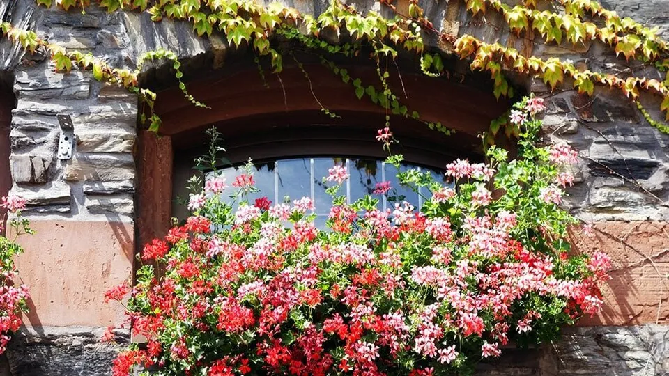 Фото: ФИЦ ПНЦБИ РАН