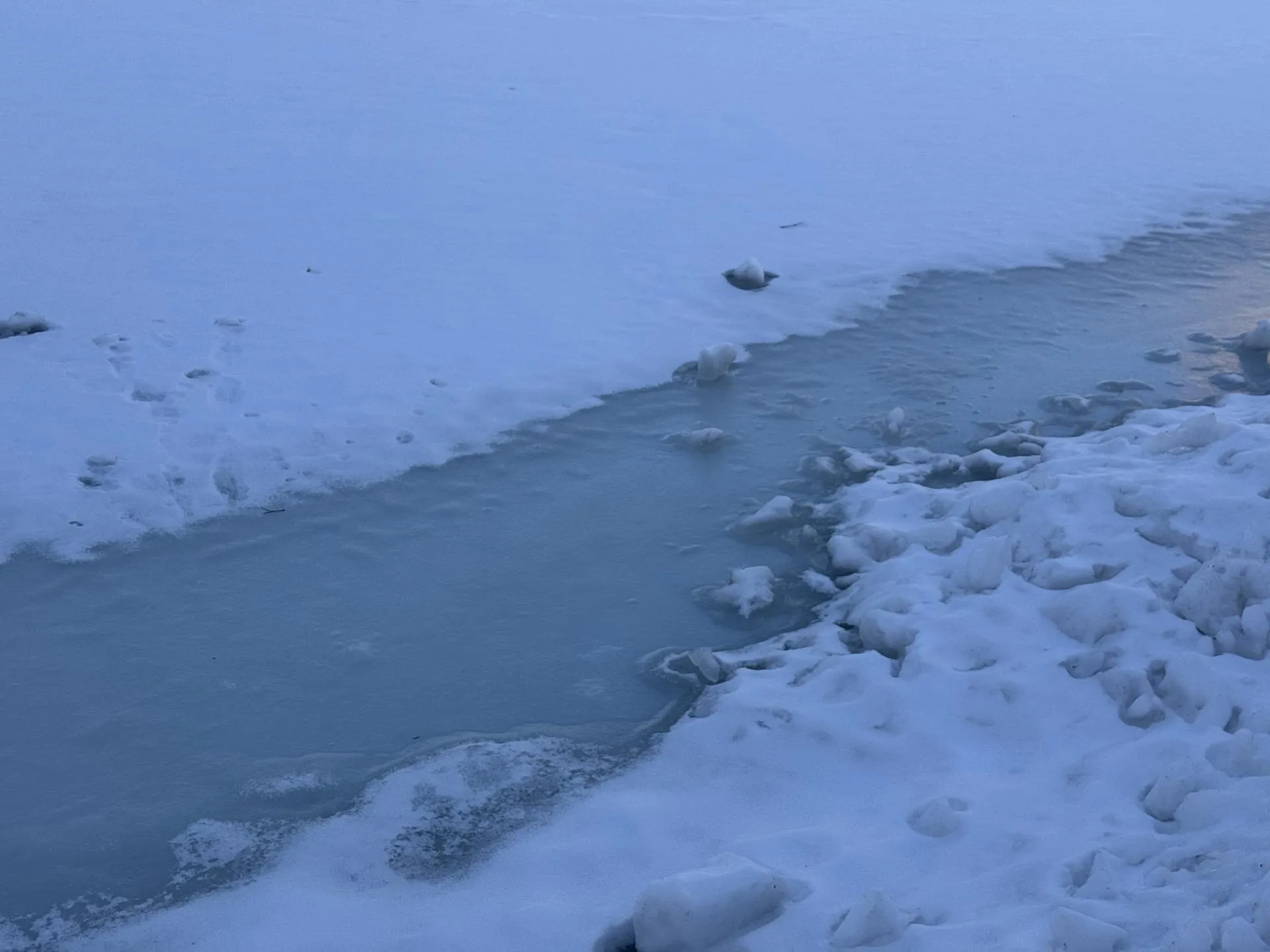 Полина Абраменко