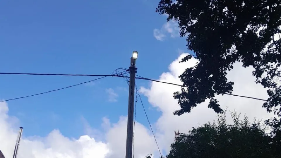 Фото: Администрация г.о. Шаховская