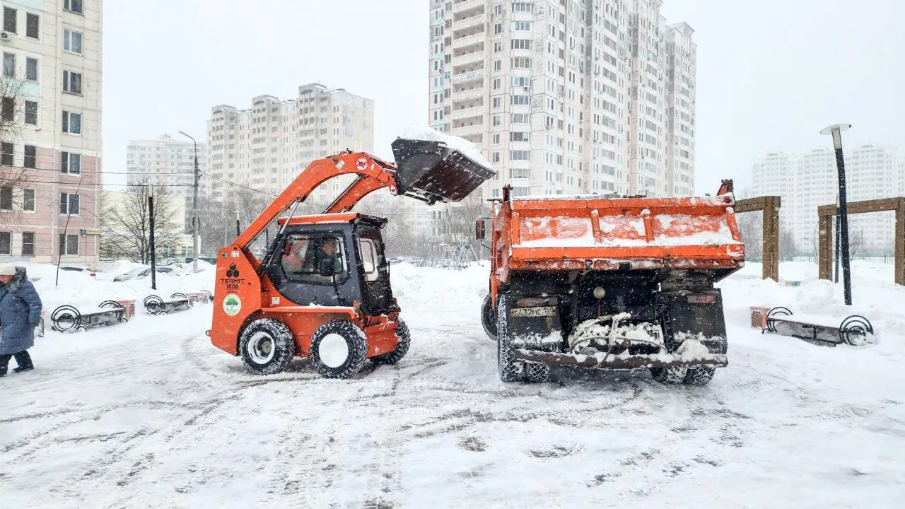 REGIONS/Мария Андрюхина