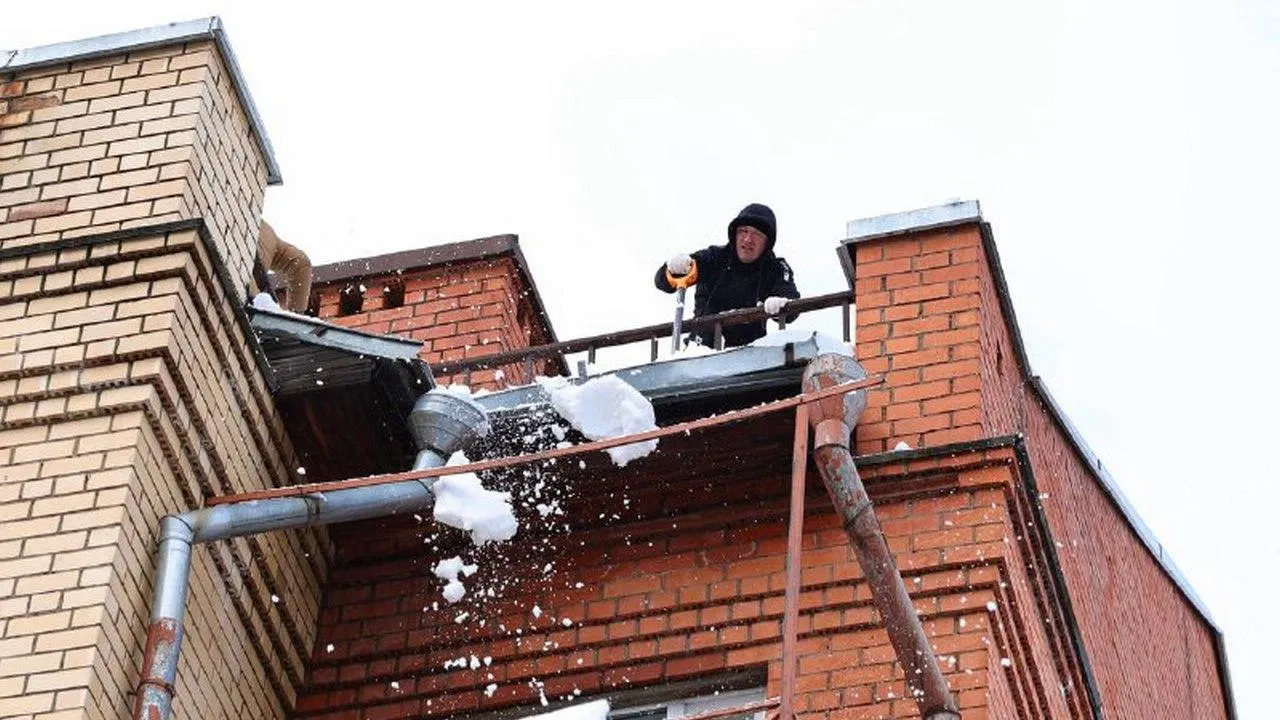 t.me/juliakupetskaya