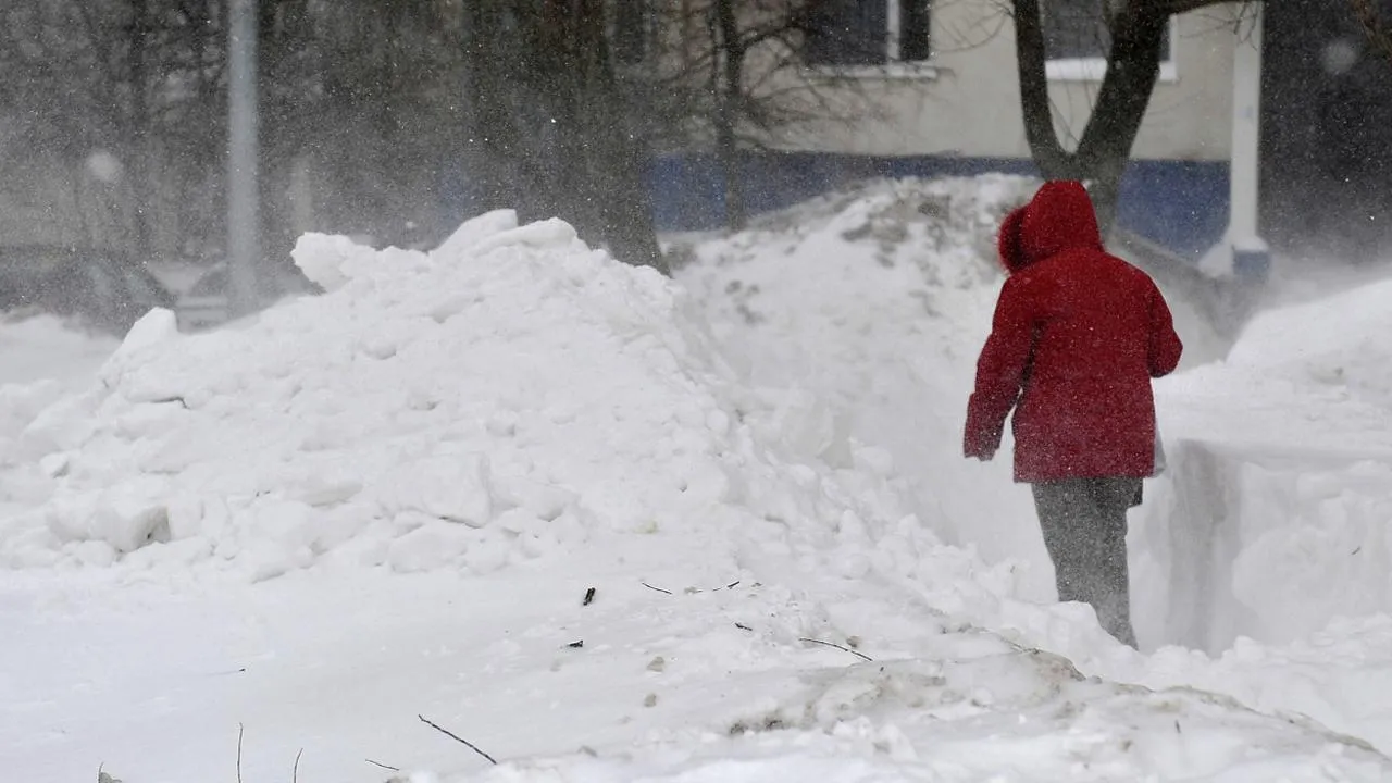 РИА Новости/Владимир Песня