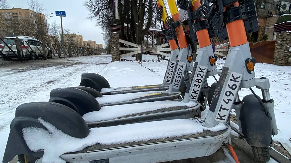 Фото: МедиаБанк Подмосковья/Юлиан Миранду