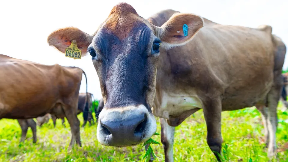 Фото: пресс-служба администрации Орехово-Зуевского г.о.