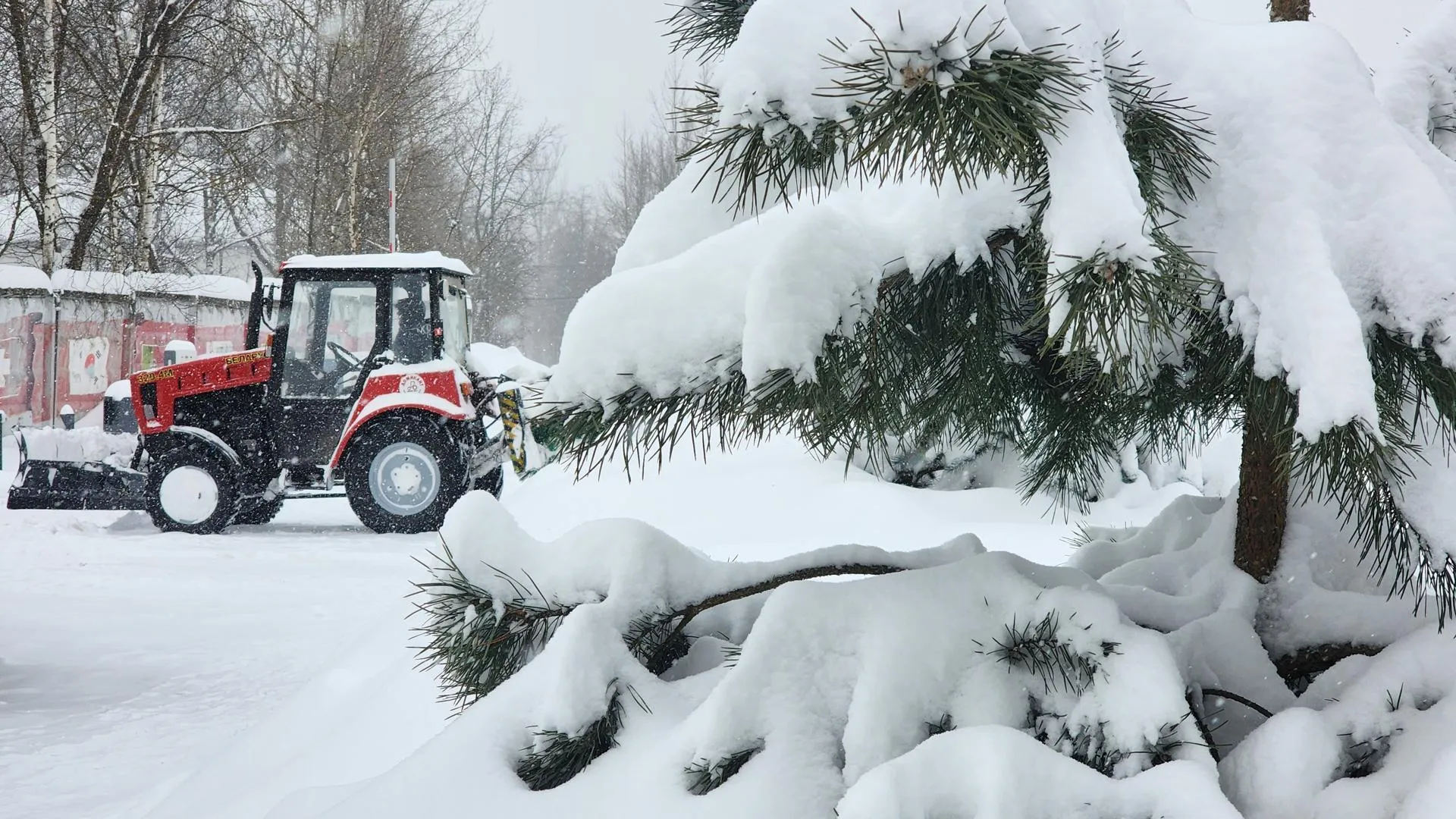МедиаБанк Подмосковья/Юлия Смагринская