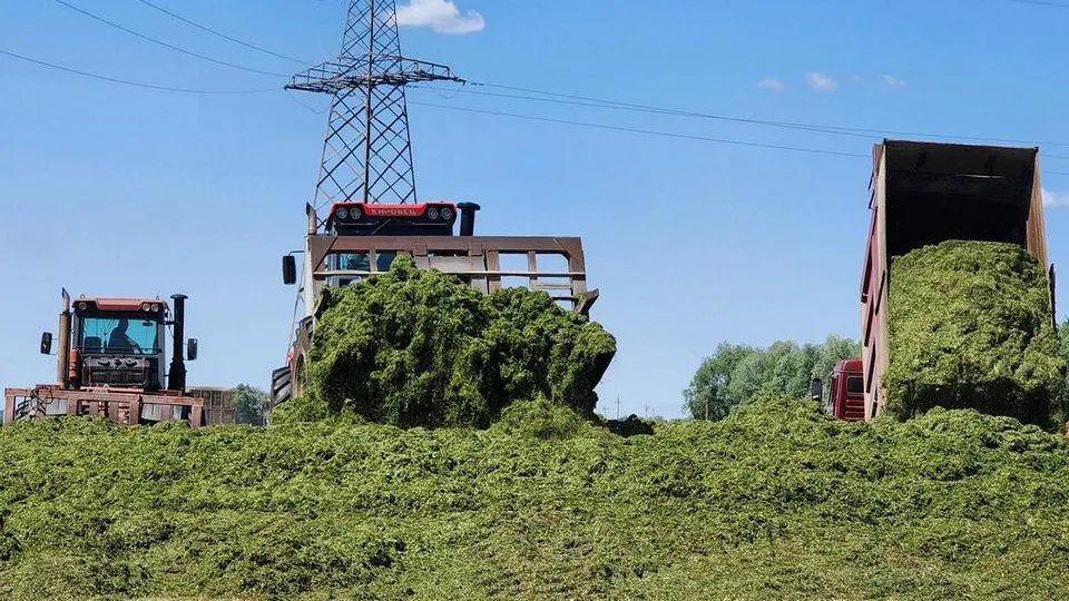 Фото: МедиаБанк Подмосковья/Анна Шолохова