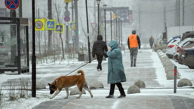 Жители девяти городских округов Подмосковья жалуются на наледь во дворах