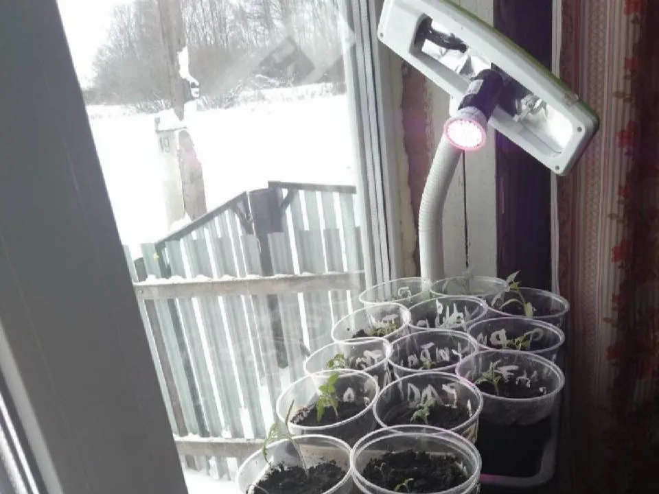 Фото: REGIONS/Юлия Габбасова