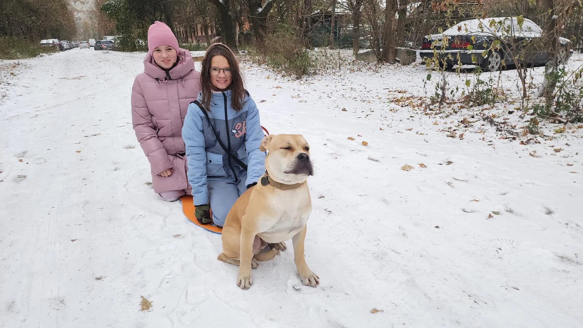 Фото: Ольга Егиян