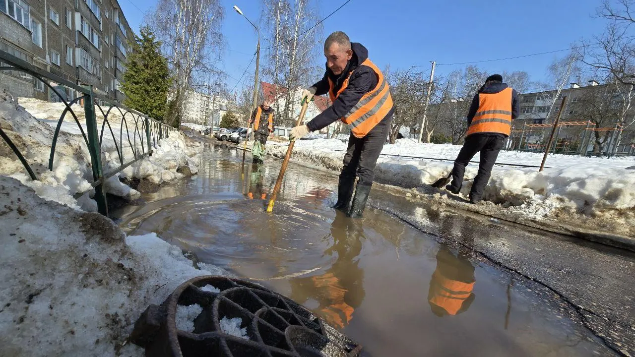 REGIONS/Яна Шаливская