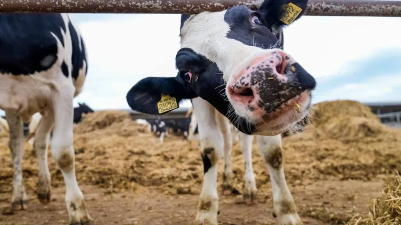 Фото: пресс-служба губернатора Московской области