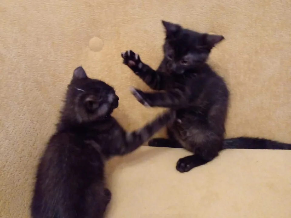 Фото: Наталья Дудина