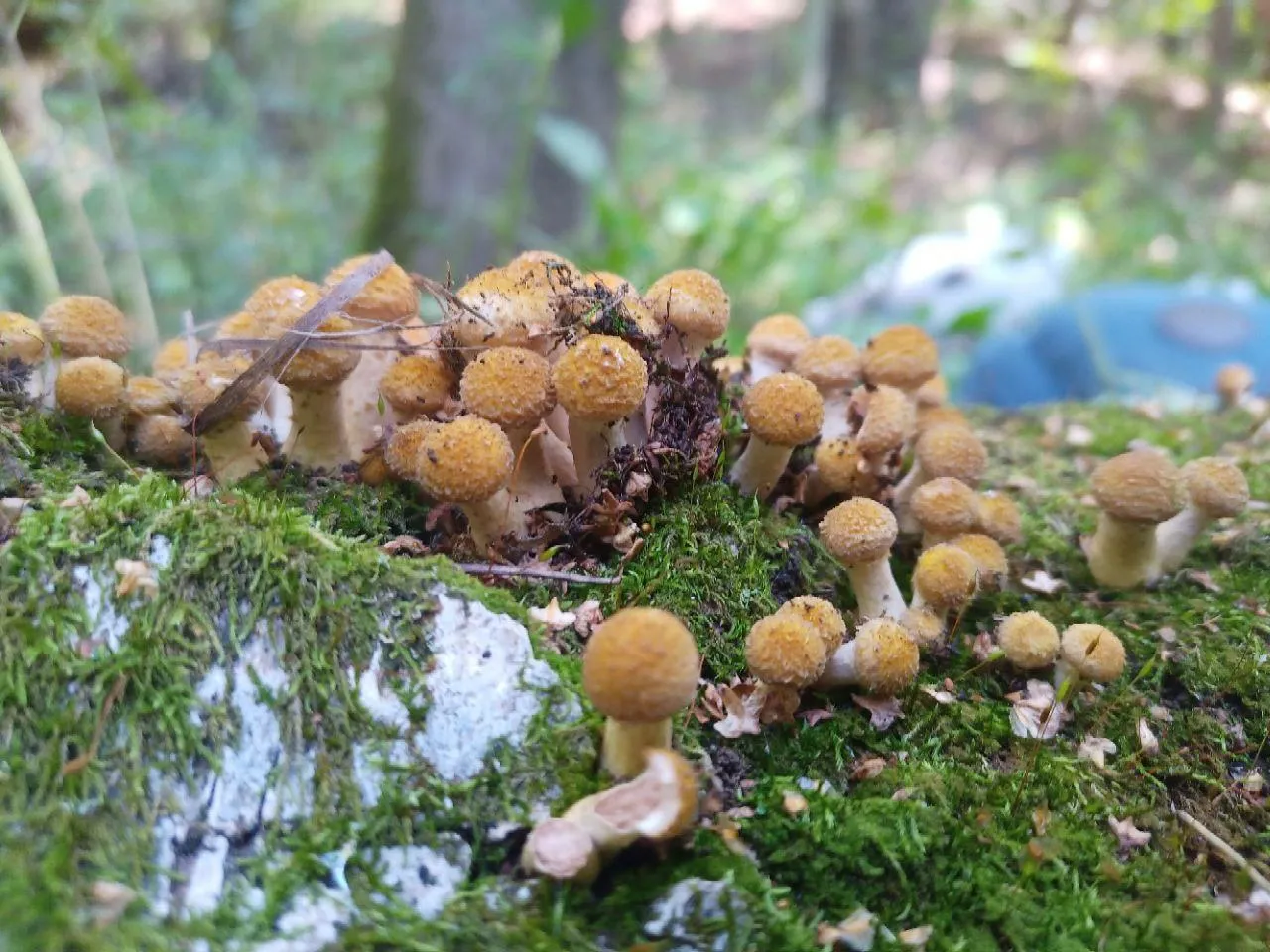 Фото:Мария Панина