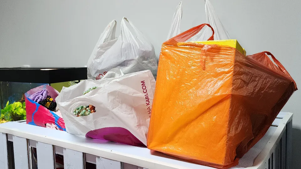 Фото: МедиаБанк Подмосковья/Ксения Пашуто