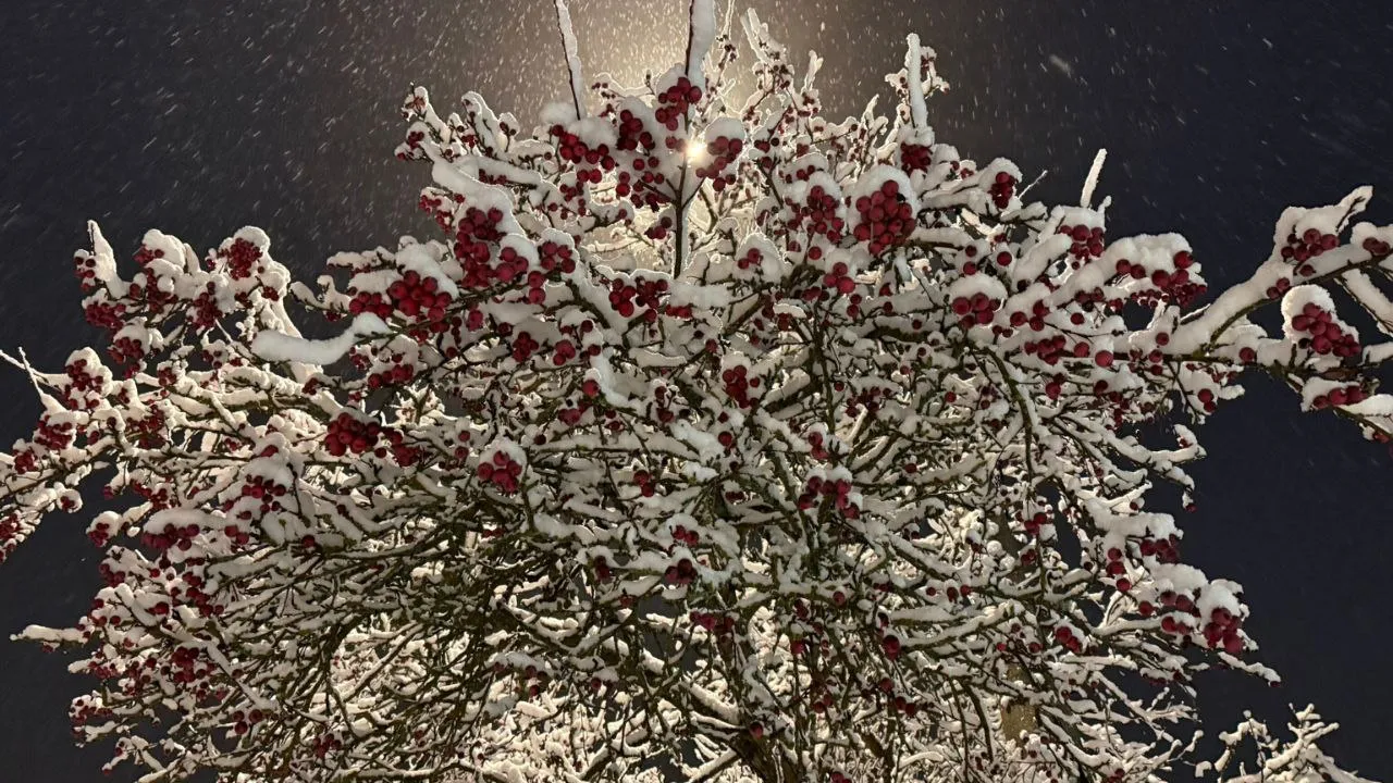 Фото: личный архив Марины Алифановой