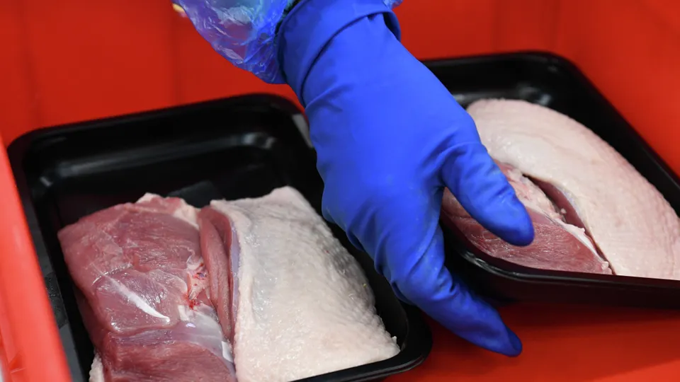 Фото: РИА Новости/Александр Кряжев