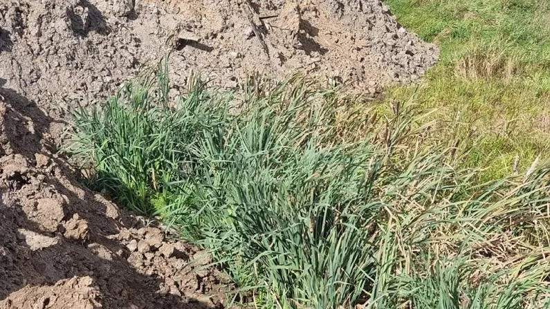 Минэкологии МО.