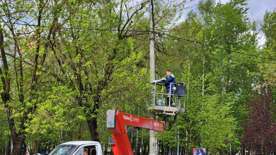 Фото: Дмитрий Алексеенко